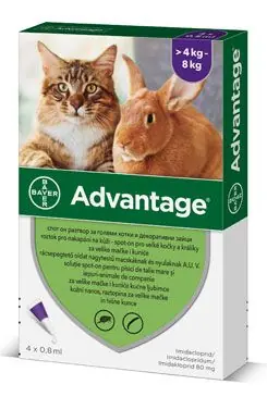 Advantage pro velké kočky a králíky 80mg 4x0,8ml Expresní Doručení