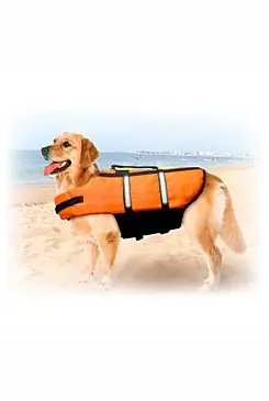 Vesta plavací Dog S 30cm oranžová Vysoce Kvalitní