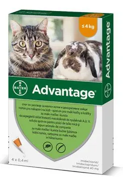 Kup Teď Advantage pro malé kočky a králíky 40mg 4x0,4ml
