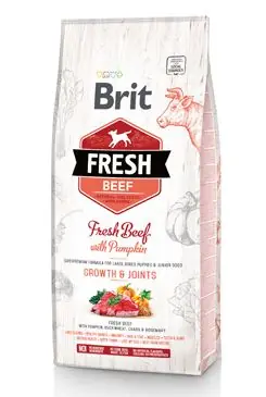 Brit Fresh Dog Beef & Pumpkin Puppy Large 2,5kg Autentický