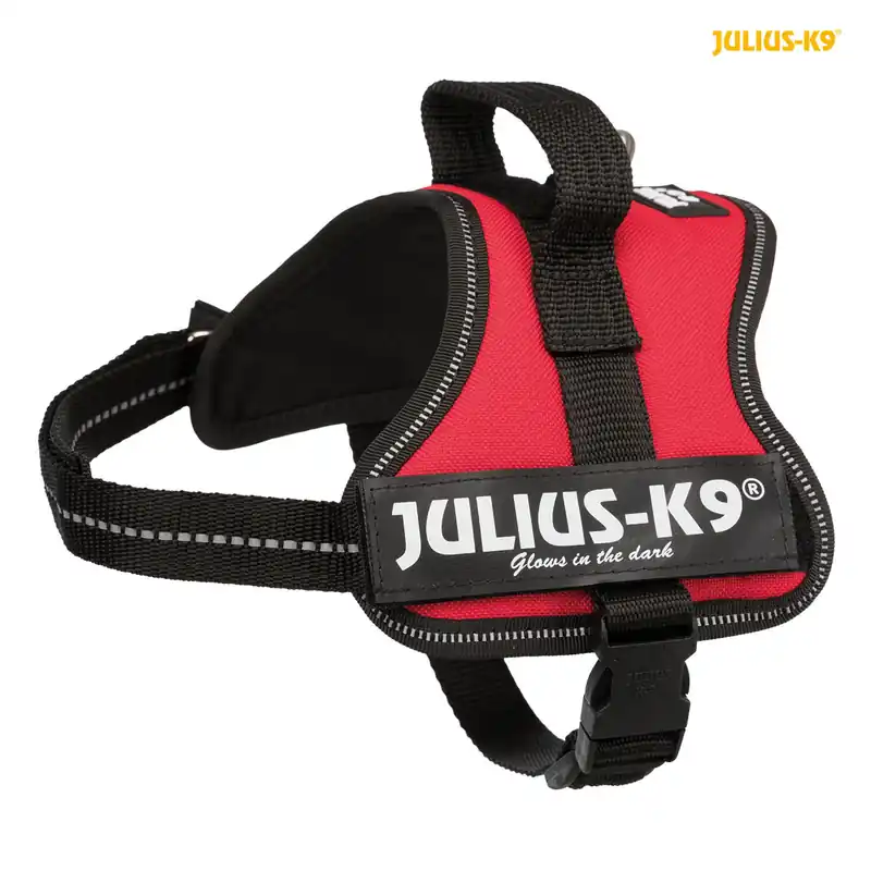 Vrácení Zdarma TRIXIE Julius-K9 silový postroj Mini-Mini/XS 40-53 cm/22 mm - červená