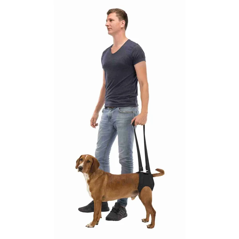 TRIXIE Podpůrná pomůcka k chůzi M 55-65 cm černá Dokud Zásoby Vydrží