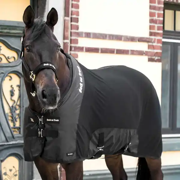 Ihned K Objednání Back on Track deka Mesh Deluxe - Barva vínováVelikost 140 cm