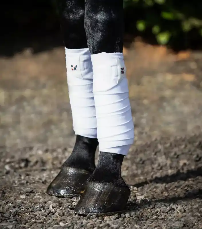 Horká Nabídka Bandáže Premier Equine - Barva Bílá