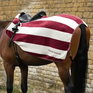 Cenová Bomba Bederní deka Premier Equine Vellus - Barva VínováVelikost XL