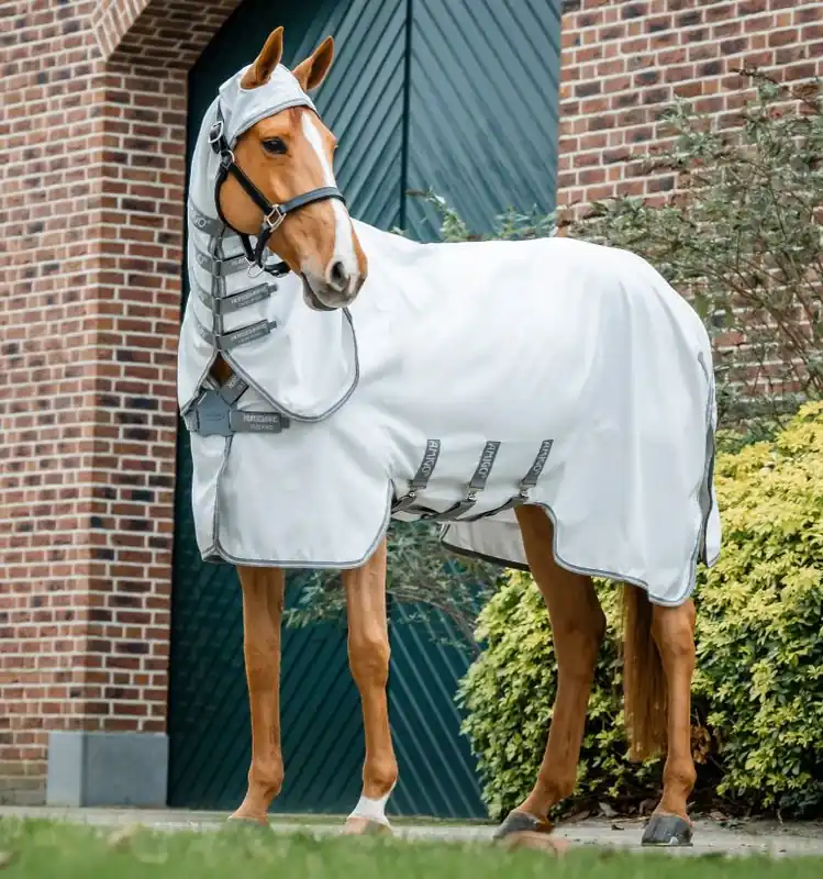 Originální Letní deka Horseware Amigo Ripstop Hoody - Barva StříbrnáVelikost 145cm (6´6)