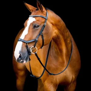 Uzdečka Horseware Micklem 2 Diamante Competition Koupit Online