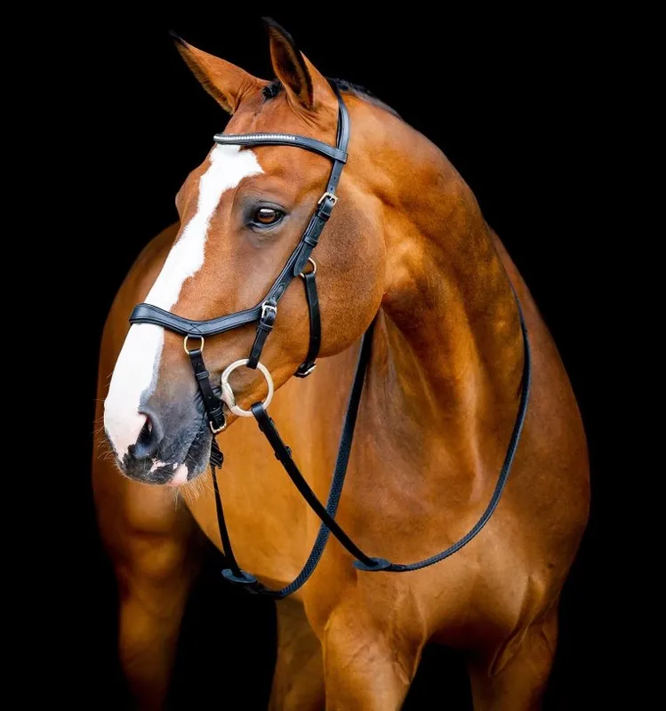 Uzdečka Horseware Micklem 2 Diamante Competition Koupit Online