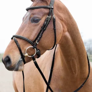 Uzdečka HORZE Constance - Barva ČernáVelikost PONY Ověřený