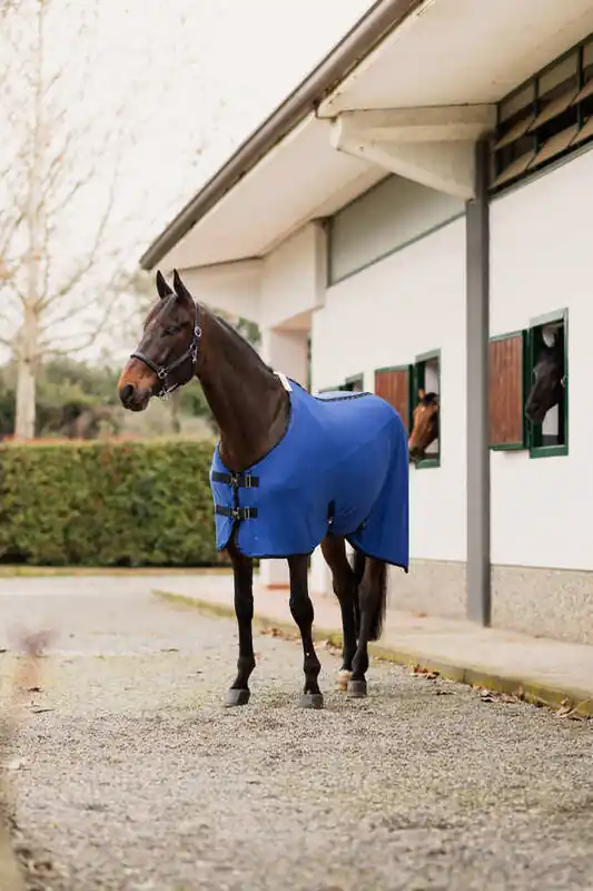 Lehká deka HORZE Cooling Mesh - Barva Královská modráVelikost 155 cm Rychlé Dodání