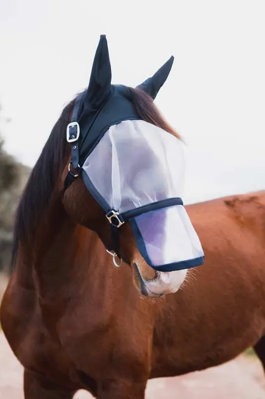 Ověřený Ohlávka s maskou Horze Paso Fino - Velikost PONY