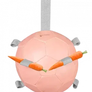 Nejprodávanější Hrací míč "KAROTTENBALL"