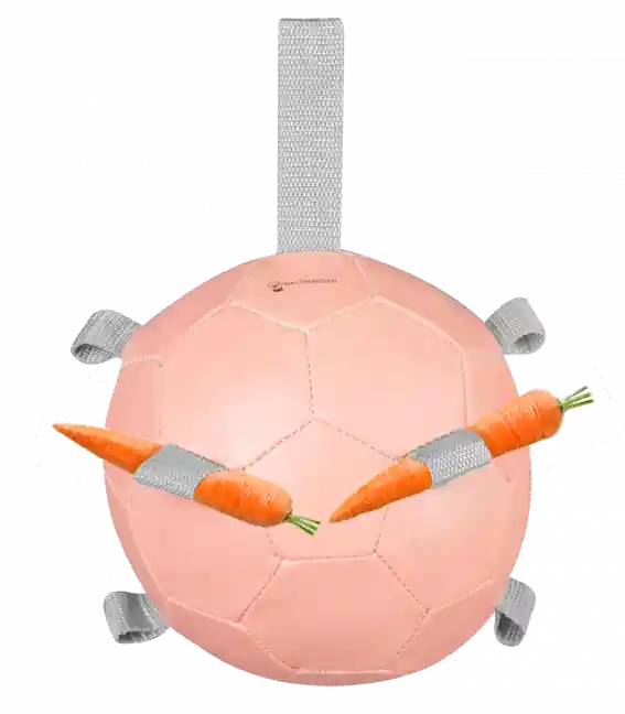 Cenová Bomba Hrací míč "KAROTTENBALL" - Barva jmelí