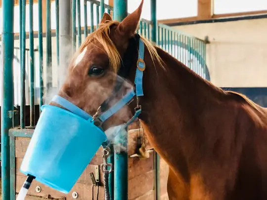Inhalační maska pro equosonic - Velikost 7 litrů Jen Po Omezenou Doba