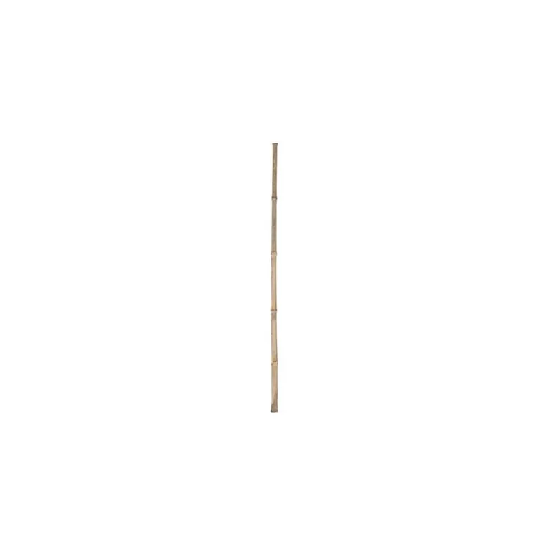Násada bambusová, 100 cm Cenová Bomba