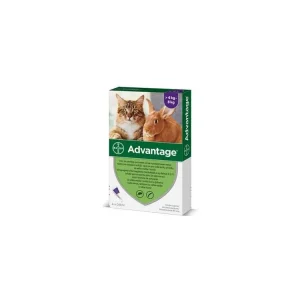 Advantage pro velké kočky a králíky 80mg 4x0,8ml Kup Teď