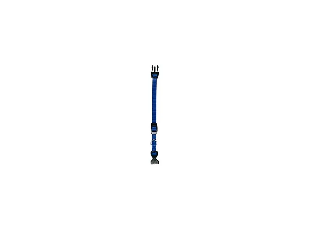 Aktuální Obojek nylon CLUB C 32cmx10mm modrý FP 1ks